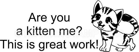 Cat 21 - Are you a kitten me