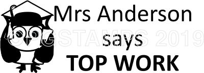 OWL 13 - Personalised Top Work Owl Stamp