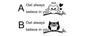OWL ALWAYS BELIEVE IN YOU
