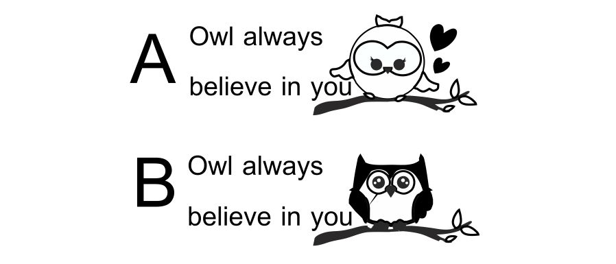 OWL ALWAYS BELIEVE IN YOU