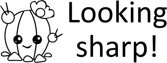 CACTUS 17  Looking Sharp